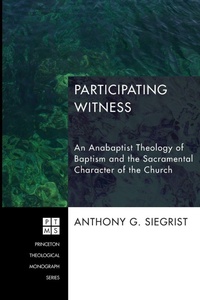 Enlarge image Cover: Participating Witness - Wipf & Stock Publishers