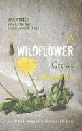 Cover: A Wildflower Grows in Brooklyn - Resource Publications (CA)