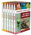 Cover: Exploring the World of Reptiles and Amphibians - Chelsea House Publishers