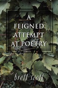Cover: A Feigned Attempt at Poetry - America Star Books