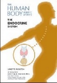 Enlarge image Cover: The Endocrine System - Chelsea House Publishers