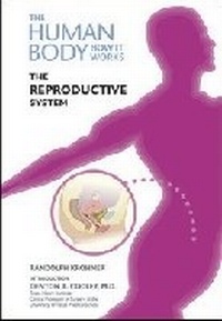 Enlarge image Cover: The Reproductive System - Chelsea House Publishers