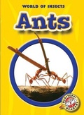 Cover: Ants - Blastoff! Readers