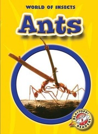 Enlarge image Cover: Ants - Blastoff! Readers