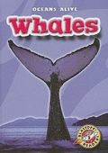 Cover: Whales - Blastoff! Readers