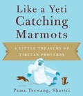 Cover: Like a Yeti Catching Marmots - Wisdom Publications