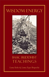 Enlarge image Cover: Wisdom Energy - Wisdom Publications