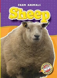 Enlarge image Cover: Sheep - Blastoff! Readers