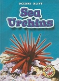 Cover: Sea Urchins - Blastoff! Readers