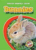 Cover: Bunnies - Blastoff! Readers