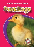 Cover: Ducklings - Blastoff! Readers