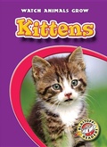 Cover: Kittens - Blastoff! Readers