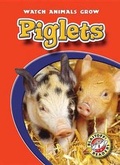 Cover: Piglets - Blastoff! Readers