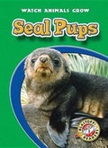Cover: Seal Pups - Blastoff! Readers