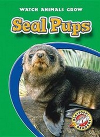 Enlarge image Cover: Seal Pups - Blastoff! Readers