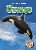 Cover: Orcas - Blastoff! Readers