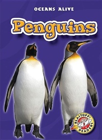 Enlarge image Cover: Penguins - Blastoff! Readers