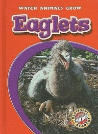 Enlarge image Cover: Eaglets - Blastoff! Readers