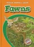 Cover: Fawns - Blastoff! Readers