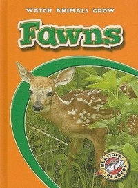 Enlarge image Cover: Fawns - Blastoff! Readers