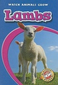Cover: Lambs - Blastoff! Readers