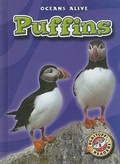 Cover: Puffins - Blastoff! Readers