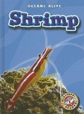 Cover: Shrimp - Blastoff! Readers