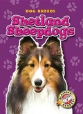 Cover: Shetland Sheepdogs - Blastoff! Readers