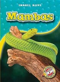 Enlarge image Cover: Mambas - Blastoff! Readers