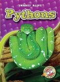 Cover: Pythons - Blastoff! Readers