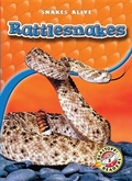 Cover: Rattlesnakes - Blastoff! Readers