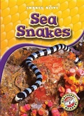 Cover: Sea Snakes - Blastoff! Readers