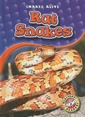 Cover: Rat Snakes - Blastoff! Readers