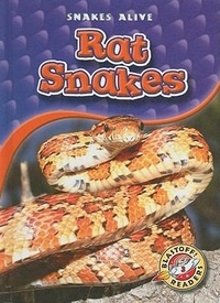 Enlarge image Cover: Rat Snakes - Blastoff! Readers