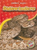 Cover: Sidewinders - Blastoff! Readers