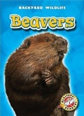 Cover: Beavers - Blastoff! Readers