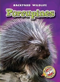 Enlarge image Cover: Porcupines - Blastoff! Readers