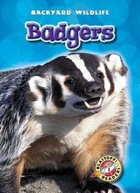 Enlarge image Cover: Badgers - Blastoff! Readers