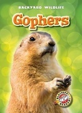 Cover: Gophers - Blastoff! Readers