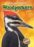 Cover: Woodpeckers - Blastoff! Readers