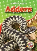Cover: Adders - Blastoff! Readers