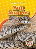 Cover: Bull Snakes - Blastoff! Readers