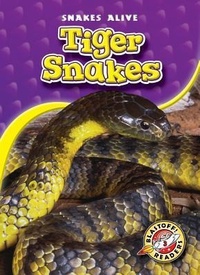Enlarge image Cover: Tiger Snakes - Blastoff! Readers