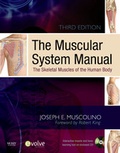 Cover: The Muscular System Manual - Mosby