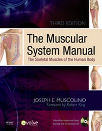 Enlarge image Cover: The Muscular System Manual - Mosby