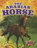 Cover: The Arabian Horse - Pilot