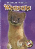 Cover: Weasels - Blastoff! Readers