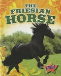 Cover: The Friesian Horse - Pilot