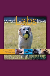 Enlarge image Cover: What Labs Love - Howell Books