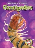 Cover: Centipedes - Blastoff! Readers